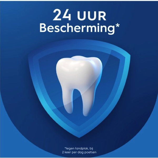 Informatie Oral-B Professional Tandsteenpreventie Tandpasta 12 x 75ml